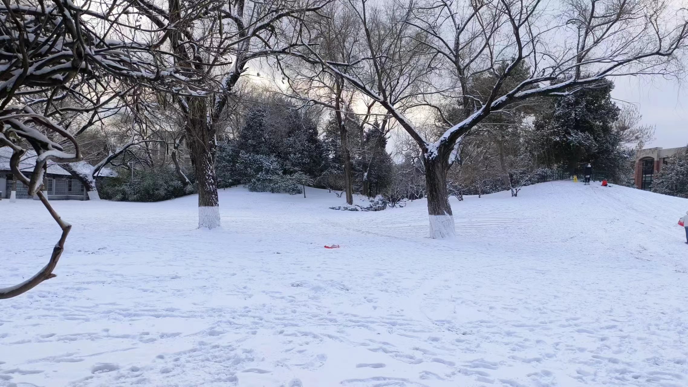 snow1