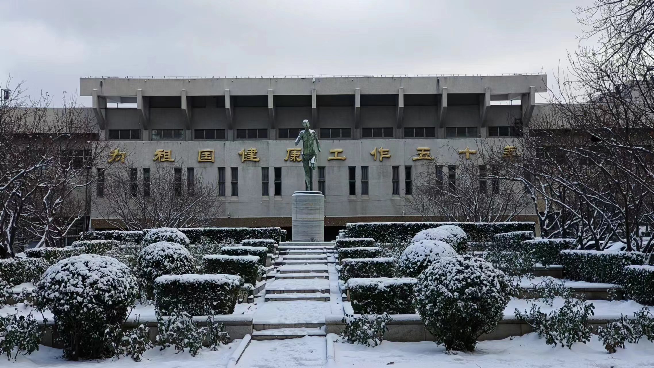 snow2