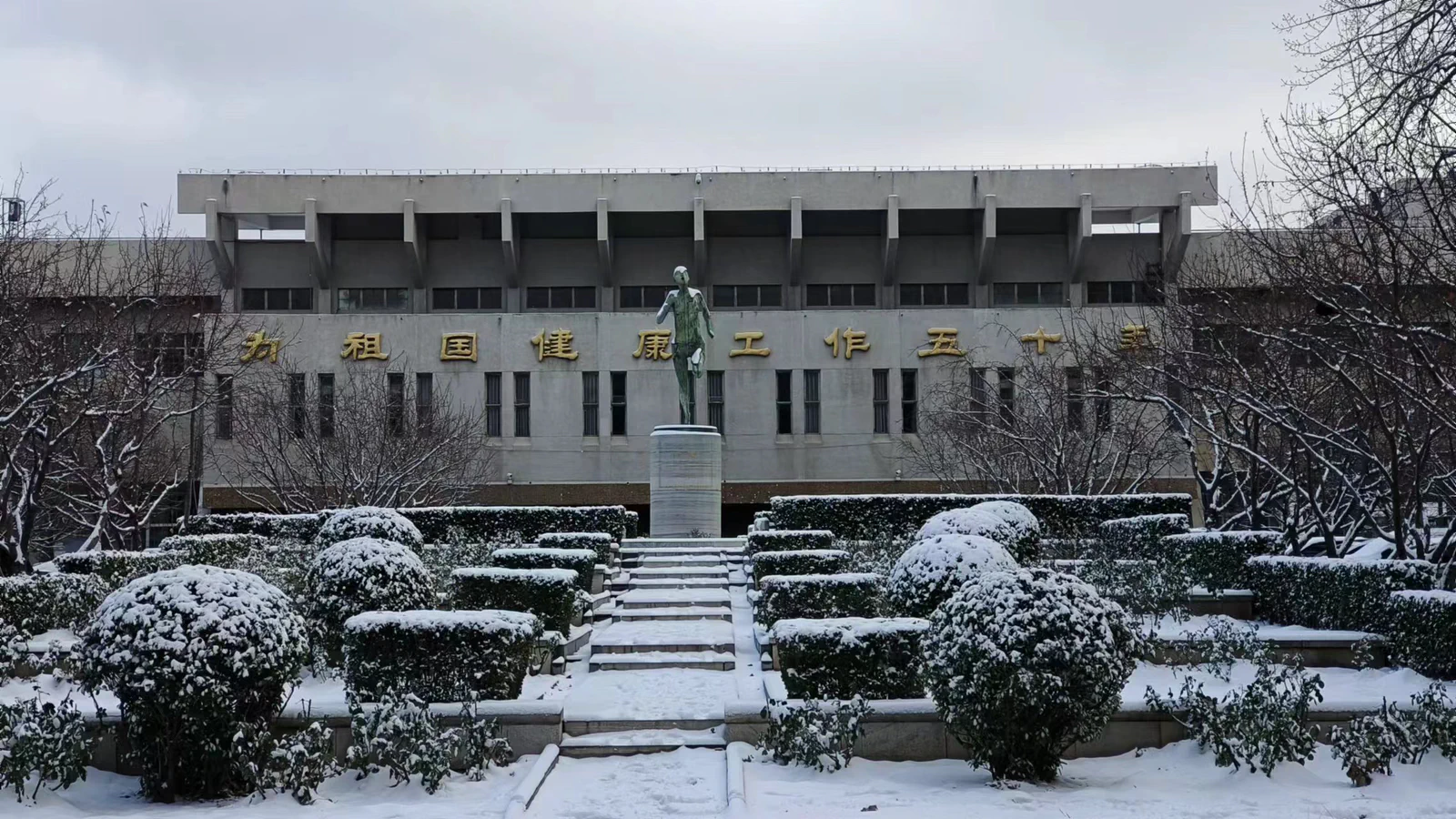 snow2